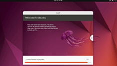 Ubuntu 安装界面